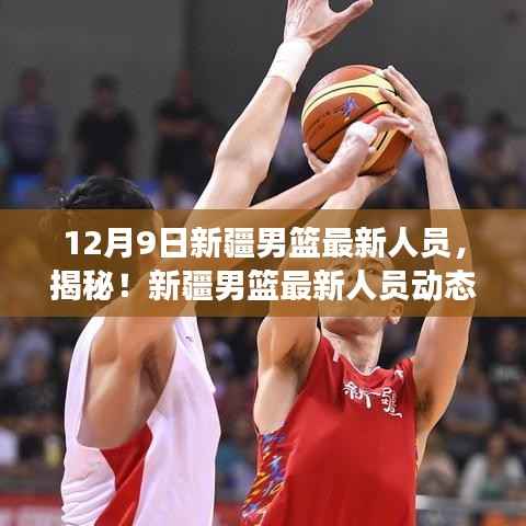 揭秘新疆男篮最新阵容调整,12月9日动态与实力展望