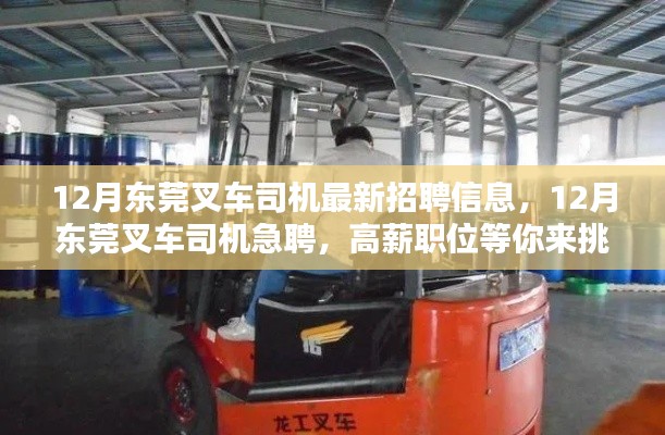 12月东莞急聘叉车司机,最新高薪职位等你来挑战!