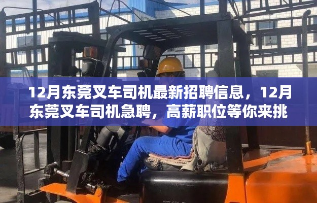 12月东莞急聘叉车司机,最新高薪职位等你来挑战!