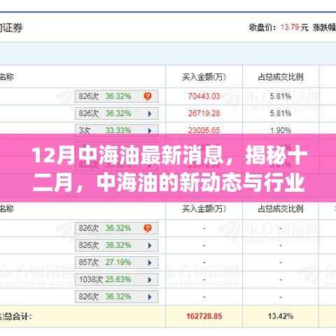 揭秘中海油最新动态与行业趋势展望，十二月前沿资讯速递