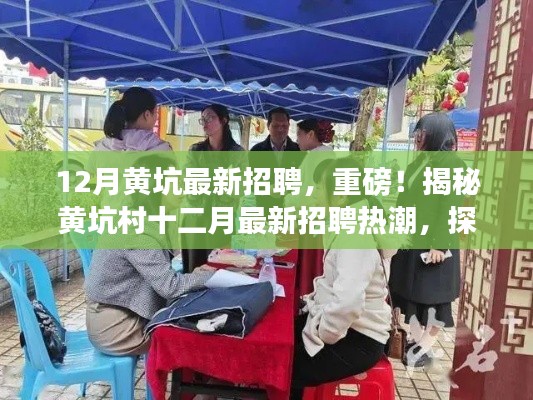 揭秘黄坑村十二月最新招聘热潮，职业新机遇探寻！