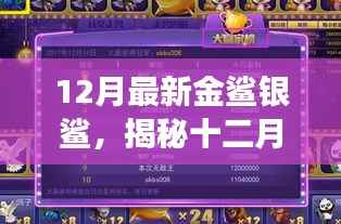 揭秘十二月最新金鲨银鲨,神秘生物背后的故事探秘
