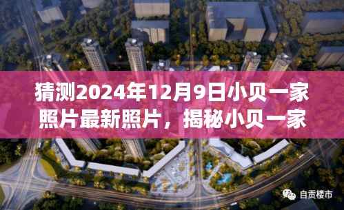 揭秘小贝一家,最新家庭照片猜想之旅(2024年12月9日)