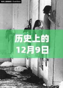 美国交换生失踪事件最新进展，聚焦历史12月9日最新消息