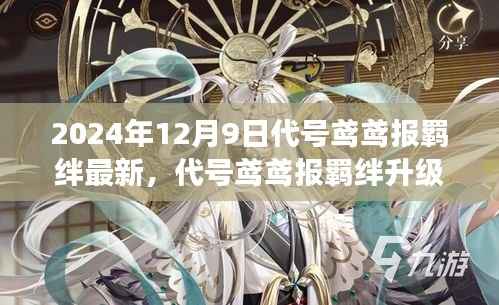 代号鸢鸢报羁绊揭秘，未来世界的新篇章，2024年全新变革揭秘