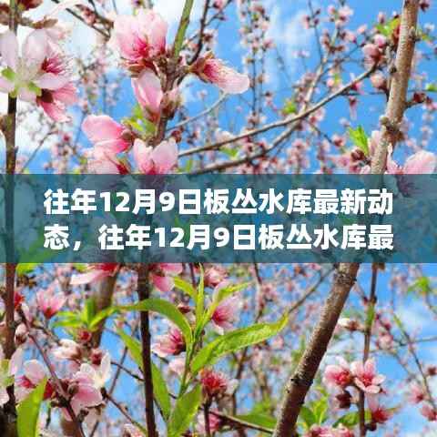 往年12月9日板丛水库最新动态，建设进展、环保措施及未来展望
