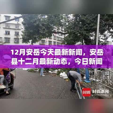 安岳县最新动态，今日新闻一览（十二月版）