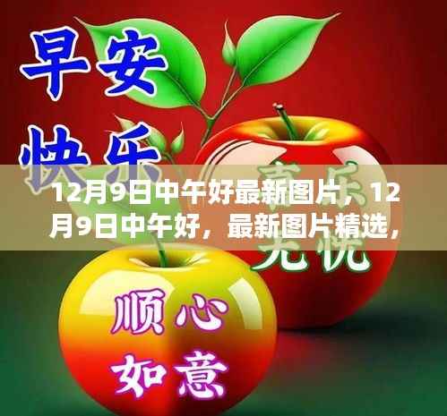 时光之美精选图片，12月9日中午的最新呈现