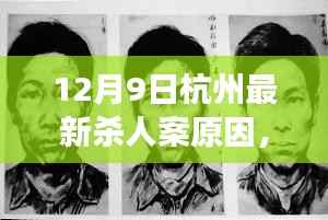 杭州最新杀人案深度揭秘，悲剧背后的原因探究