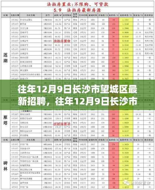 往年12月9日长沙市望城区最新招聘动态深度解读与概览
