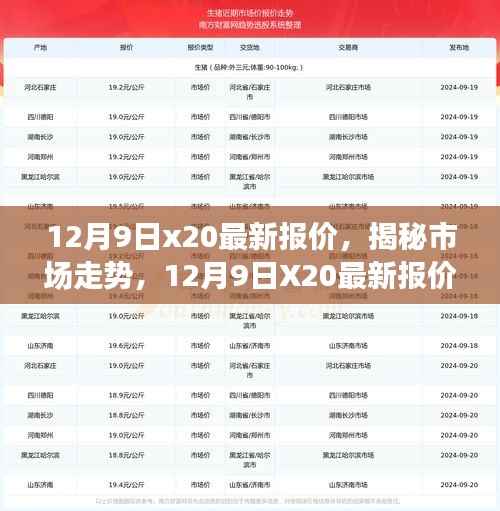 揭秘市场走势，12月9日X20最新报价与专业解读