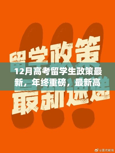 年终重磅,最新高考留学生政策深度解读与前瞻分析