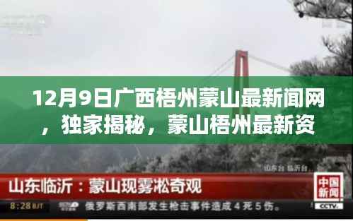 广西梧州蒙山最新焦点新闻揭秘，蒙山梧州资讯一网打尽（12月9日）