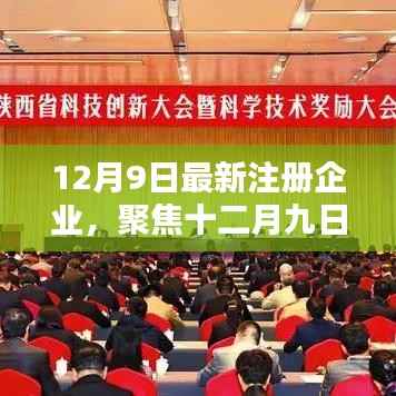 聚焦十二月九日,最新注册企业掀起创新与活力浪潮