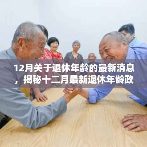 揭秘十二月最新退休年龄政策调整动态，未来退休规划与指南