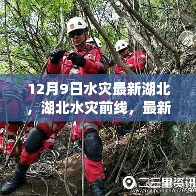 湖北水灾前线最新动态与救援进展，12月9日的坚守与希望