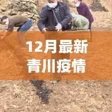 青川疫情最新动态，12月防控进展与应对策略揭秘