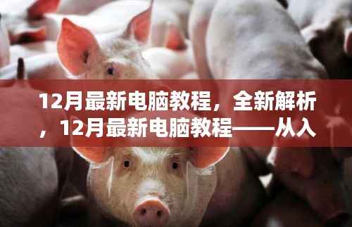 12月最新电脑教程详解，从入门到精通