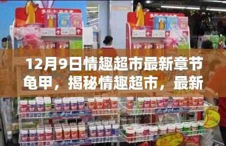 揭秘最新章节龟甲背后的秘密，情趣超市独家报道