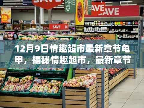 揭秘最新章节龟甲背后的秘密,情趣超市独家报道