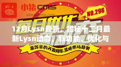 揭秘十二月最新Lysn动态，新功能、优化及未来展望