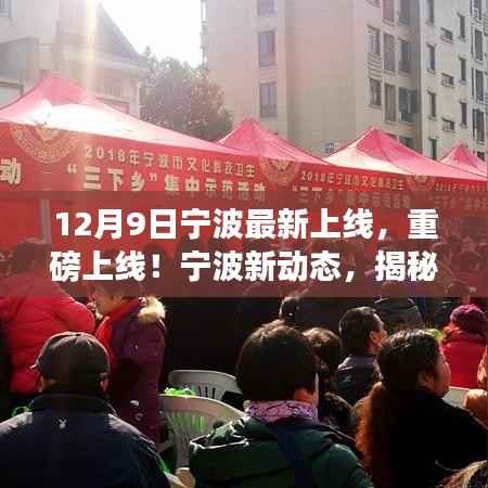 揭秘宁波最新科技与文化进展，十二月九日重磅上线新动态