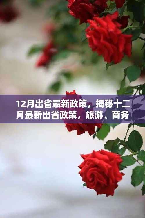 揭秘十二月最新出省政策，旅游、商务与出行的全面指南