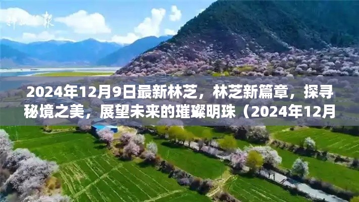 林芝新篇章，探寻秘境之美，展望未来的璀璨明珠（最新报道）