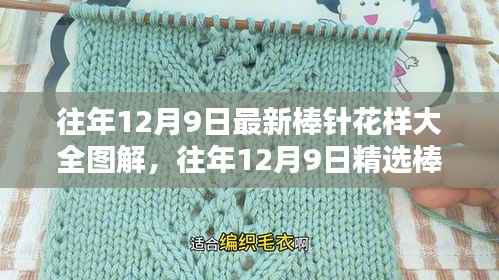 精选棒针花样大全图解与时尚编织指南，最新棒针花样指南揭秘