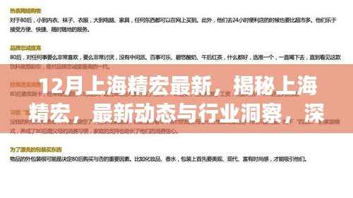 揭秘上海精宏最新动态与行业洞察，深度解读十二月新动向