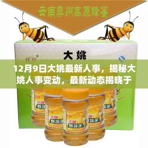 大姚人事变动揭秘,最新动态揭晓于十二月九日