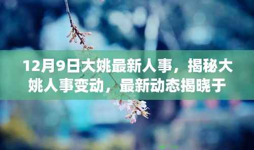 大姚人事变动揭秘,最新动态揭晓于十二月九日