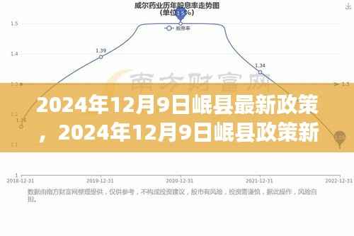 岷县政策新动向，引领未来发展的新里程碑（2024年12月9日最新政策解读）