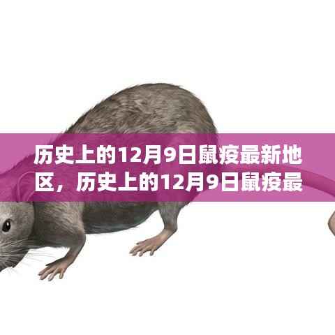 探寻历史上的鼠疫变迁与防控进展，聚焦十二月九日最新地区疫情动态