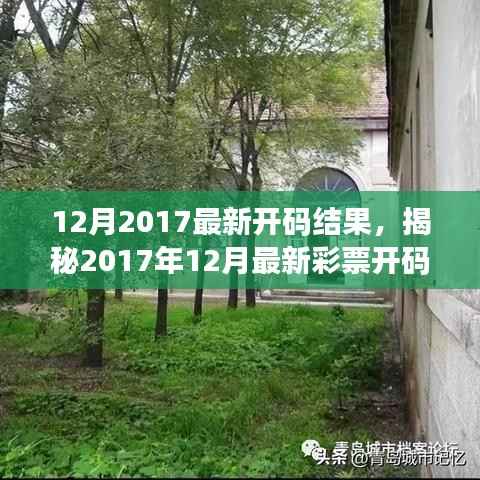 揭秘2017年12月彩票开码结果，幸运之门开启，梦想成真瞬间！