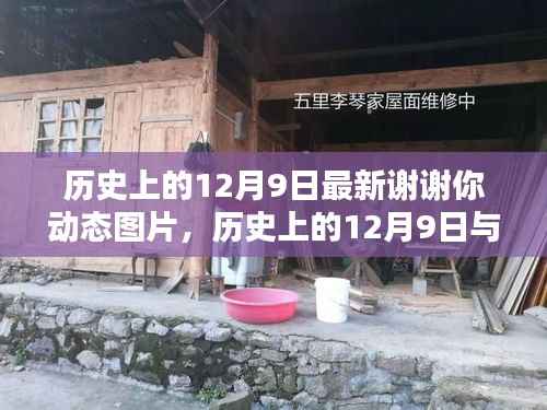 历史上的12月9日，感恩与温馨的回忆，最新谢谢你动态图片分享