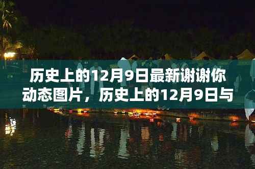历史上的12月9日,感恩与温馨的回忆,最新谢谢你动态图片分享