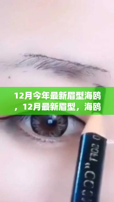 海鸥展翅新眉型,引领时尚潮流的十二月最新眉型趋势