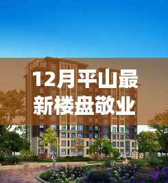 敬业新苑，平山最新楼盘，品质生活的新选择