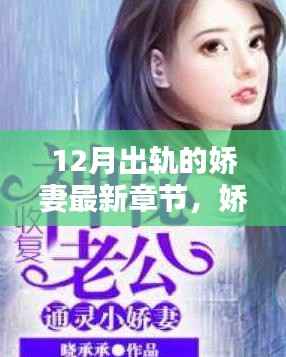 娇妻的秘密，十二月背叛的迷离章节与出轨的迷离真相
