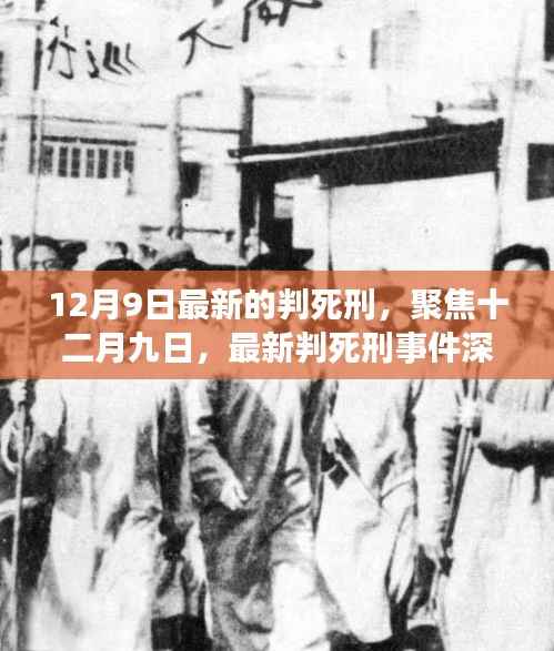 深度解析，十二月九日最新判死刑事件聚焦