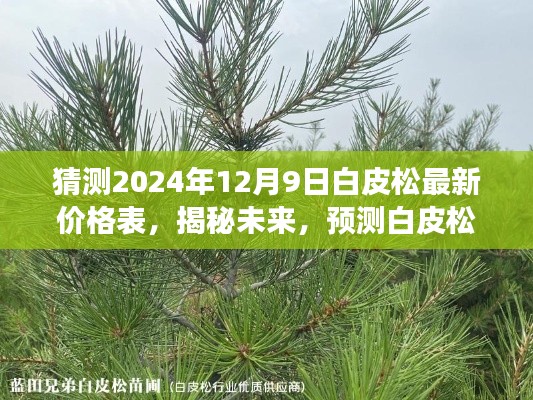 揭秘未来白皮松市场走势，预测最新价格表，展望2024年白皮松市场趋势分析报告