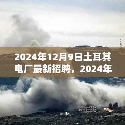 2024年土耳其电厂人才热招启幕，探寻行业新机遇，开启职业新篇章