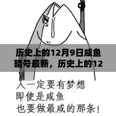 历史上的12月9日咸鱼暗号揭秘与最新解密传承
