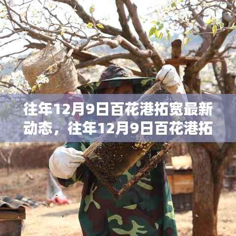 往年12月9日百花港拓宽工程进展及未来展望,最新动态与未来展望