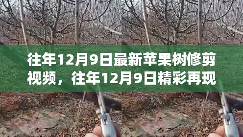 屈指可数 第6页