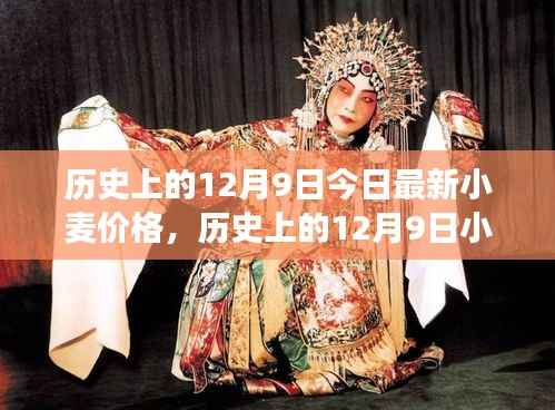 历史上的小麦价格变迁与今日最新市场动态,聚焦12月9日小麦价格更新信息