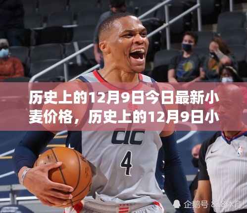 历史上的小麦价格变迁与今日最新市场动态，聚焦12月9日小麦价格更新信息