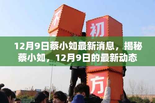 揭秘蔡小如12月9日最新动态与成就