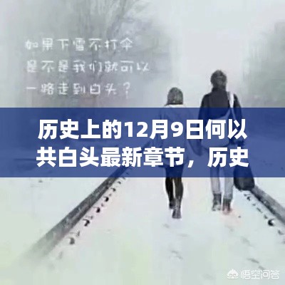 揭秘历史上的12月9日深层含义，何以共白头最新章节探讨揭秘！
